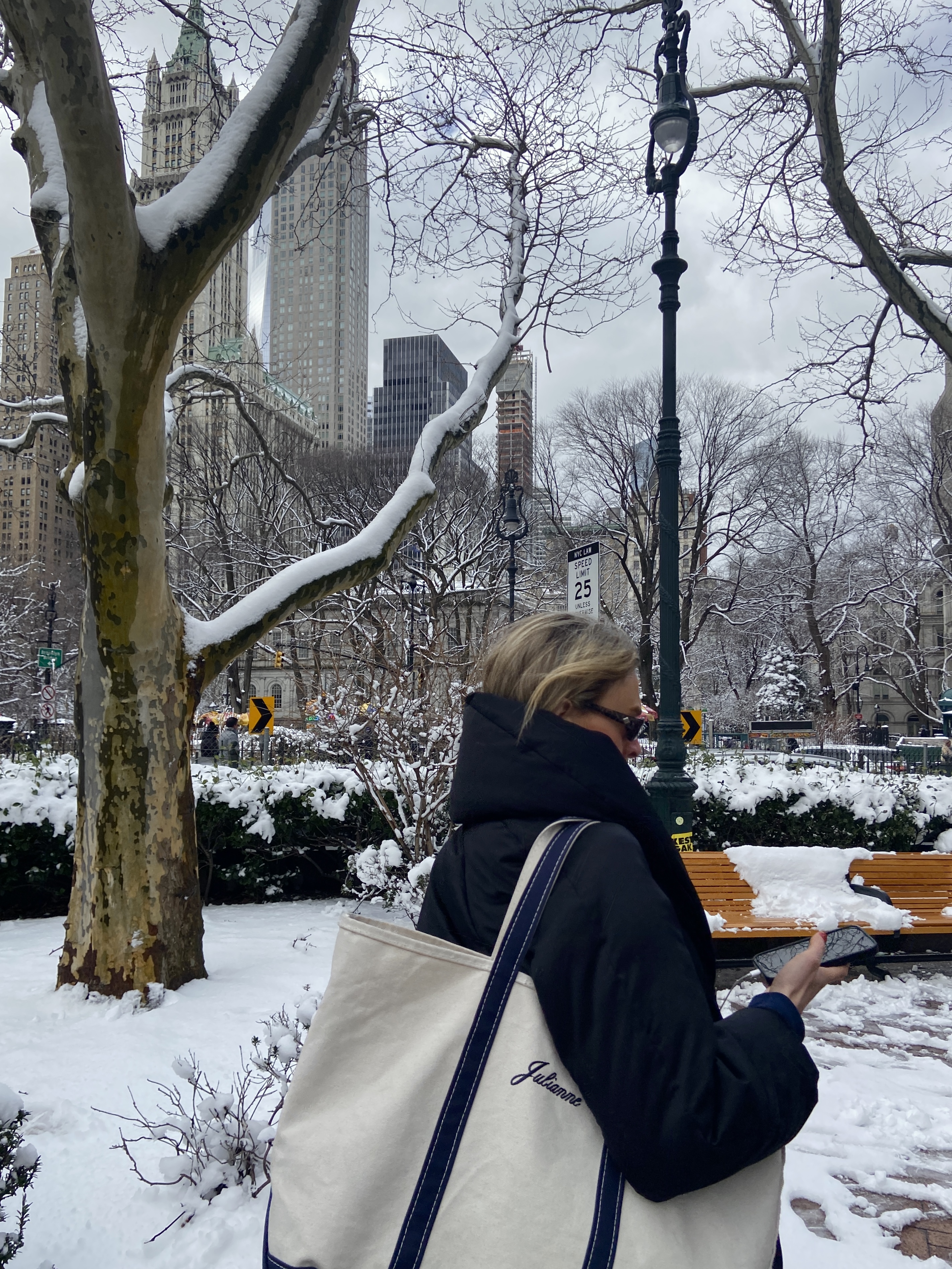 Snowy wheather in nyc
